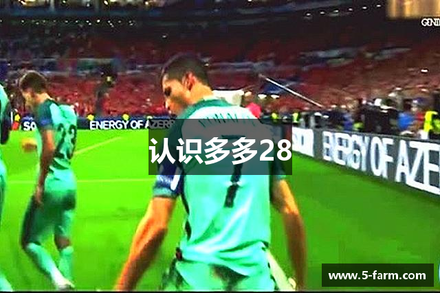 认识多多28